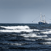  Fisherboat